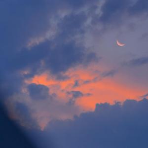 国产麻豆精品观看
